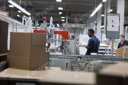 Preview: Two male workers in paper packaging factory