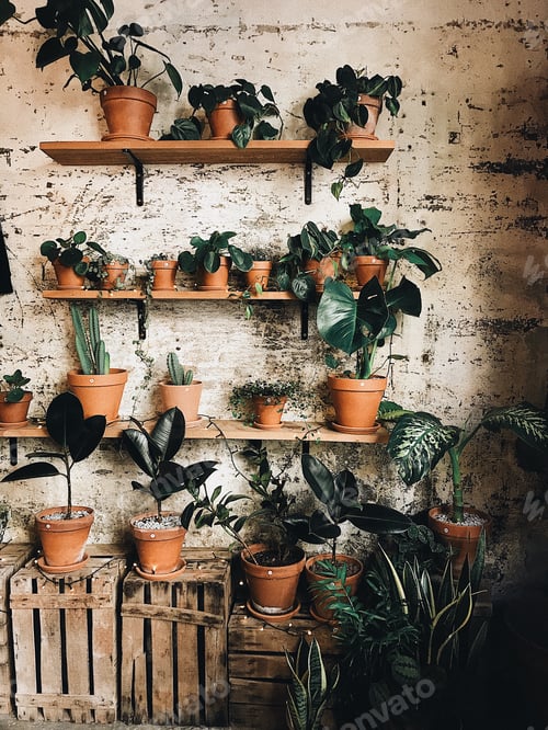 Preview: Cute plant pots