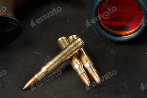 Preview: Close up of cartridges for hunting shotgun