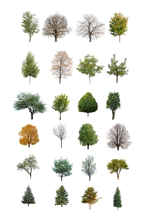 Preview: trees are isolated