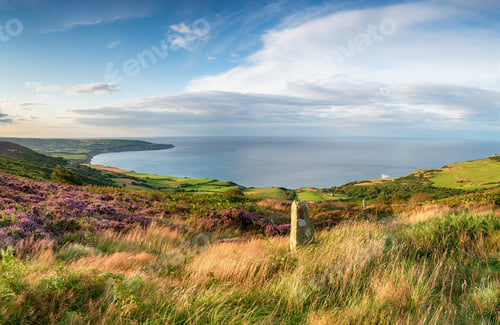 Preview: Summer on the North Yorkshire coast