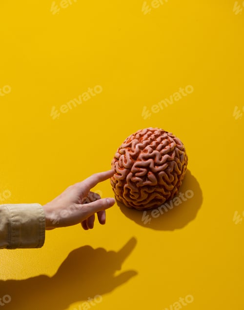 Preview: female hand points finger at brain on yellow background