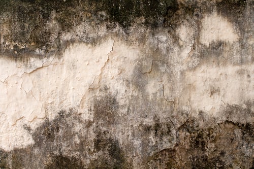 Preview: white concrete wall texture. background