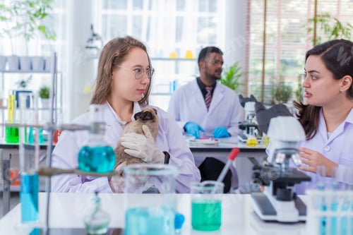 Preview: Scientist or pharmacist do research chemical ingredients test on animal in laboratory