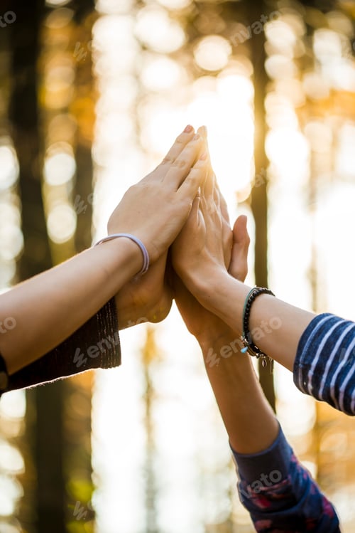 Preview: Closeup of four female hands joined together high up in the air