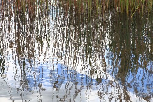 Preview: Water surface texture with ripples and sky, reed reflection
