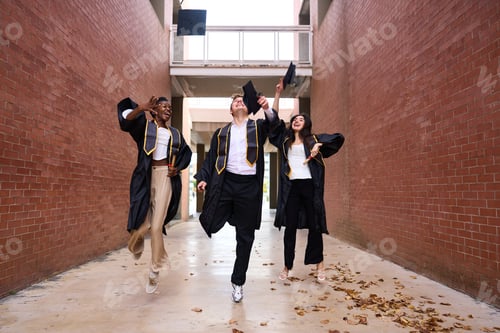 Preview: Diverse group of graduates celebrating academic success