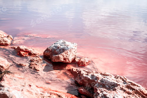 Preview: Torrevieja Pink Lake in Alicante, Spain