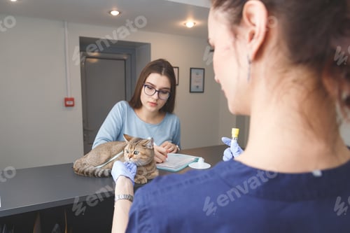 Preview: Young woman pet owner signs documents for prescriptions in veterinary clinic. Cat on counter