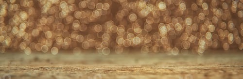 Preview: holiday