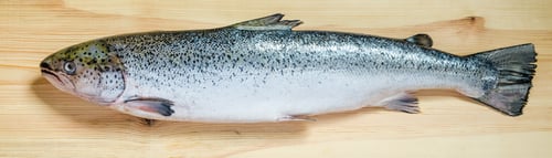 Preview: Atlantic Salmon whole fish