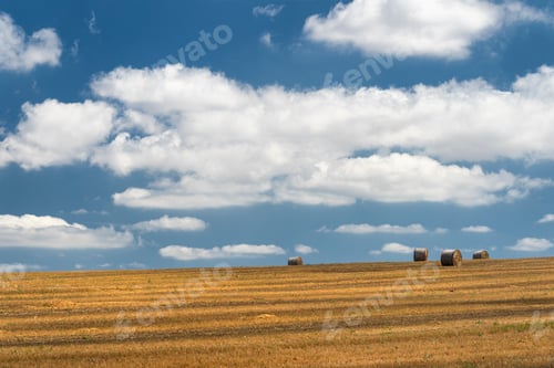 Preview: Rural landscape in Apulia at summer