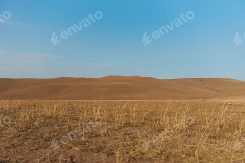 Preview: Rolling Hills and Grassland Under a Blue Sky