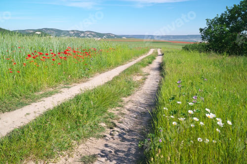 Preview: Road lane and deep blue sky.