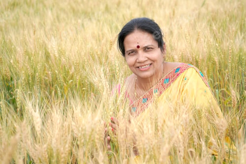 Preview: Beautiful young Indian woman wear in saree at the wheat field