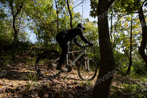 Preview: Mountain biking on spring forest trail