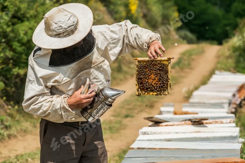 Preview: Beekeeper