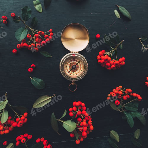 Preview: Vintage navigational compass flat lay