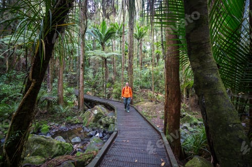 Preview: Tramping
