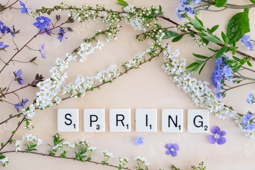 Preview: white and blue spring flowers on light background with the words spring written in scrabble letters