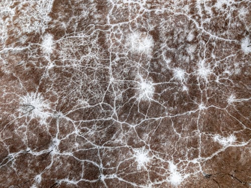 Preview: Flying above white swamps and small river in winter.