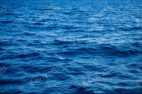 Preview: Sea