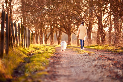 Preview: Rear View Of Woman With Prosthetic Hand Walking Pet Dog Through Winter Or Autumn Countryside