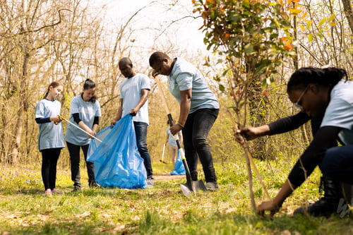 Preview: Volunteers team working together to collect junk and plastic from the woods