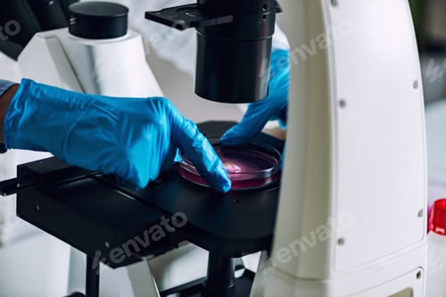 Preview: Laboratory work