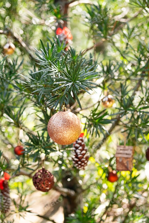 Preview: Decorated Christmas tree outside in sunlight. Festivity background.