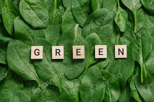 Preview: The word green is displayed in wooden blocks on spinach leaves
