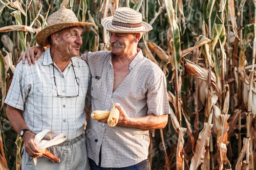 Preview: Two senior frends on farm
