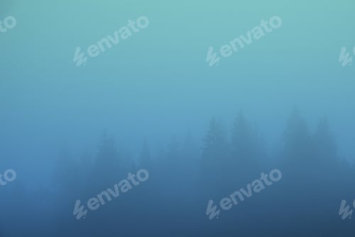 Preview: misty landscape with fir forest covered in blue fog