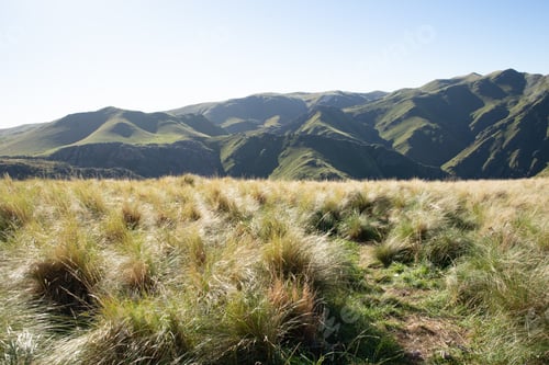 Preview: Scenic View of Green Mountain Behind Green Meadow Against Clear Sky.Background Concept