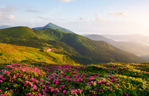 Preview: Majestic Carpathian mountains. Beautiful landscape. Breathtaking view