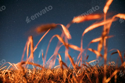 Preview: Belarus. 17 July 2020. Comet Neowise C 2020 F3 Shines Bright In The Night Starry Sky Above Young