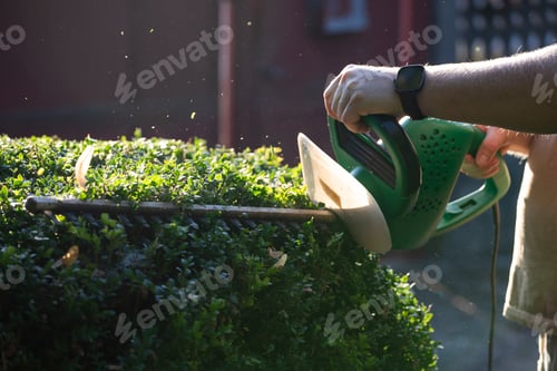 Preview: Shrub pruning, gardening and cutting concept.