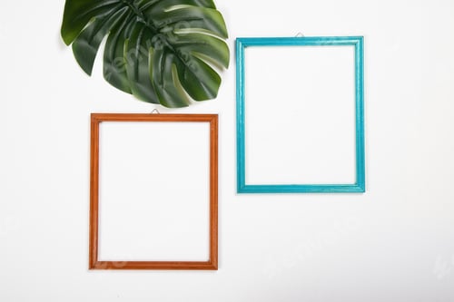 Preview: Picture frames with part of jungle monster leaf on white background with copy space