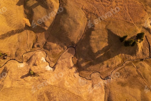 Preview: Aerial view of trees and a little river