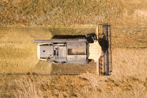 Preview: Aerial view of combine harvester harvesting large ripe wheat field. Agriculture from drone view