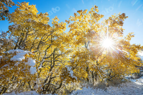 Preview: First snow