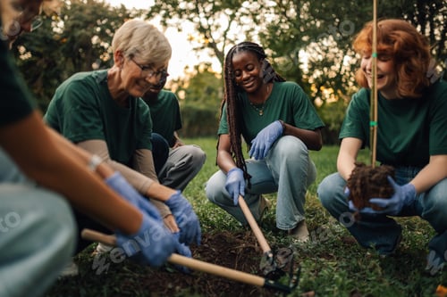 Preview: Group of volunteers planting a tree in the park