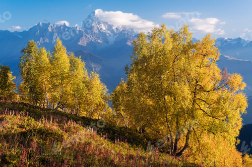 Preview: Mountain peak Ushba, Zemo Svaneti