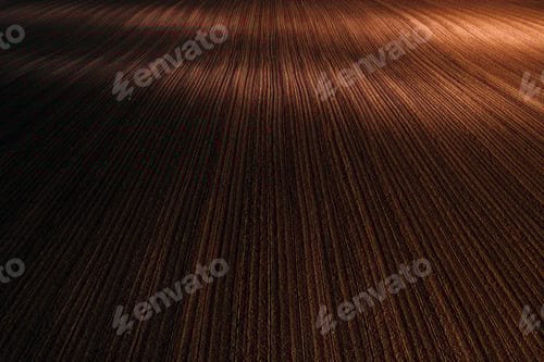 Preview: Sunlight illuminates beautiful furrowed pattern of ploughed agricultural field soil