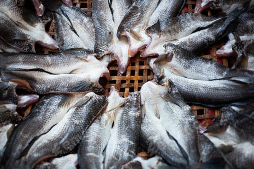 Preview: fresh fish on the market in Bangkok