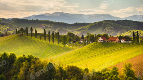 Preview: Grape hills view from wine road in Austria. South styria vineyards landscape. Sulztal