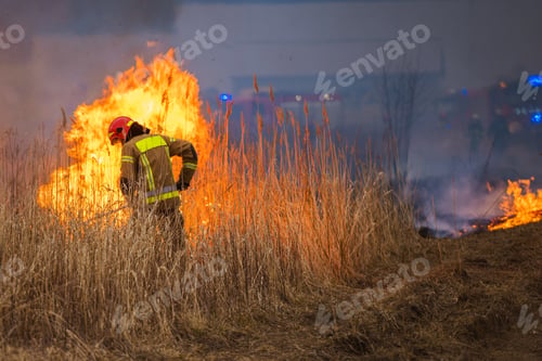 Preview: Firefighter Fighting with Burning Grassland