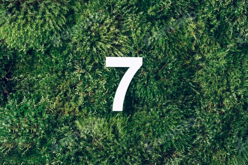 Preview: Ecology, zero waste. Green grass and digit seven 7. Birthday greeting card.