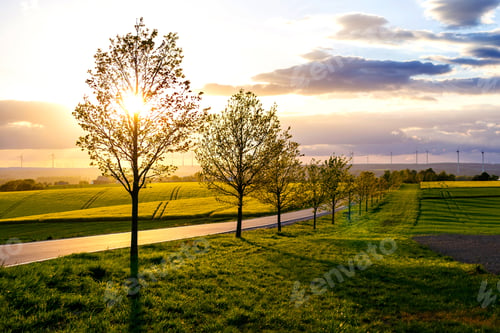 Preview: Mesmerizing scenery of a landscape at sunset