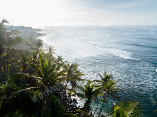 Preview: Aerial view of coconut trees at seaside the morning,Sri lanka